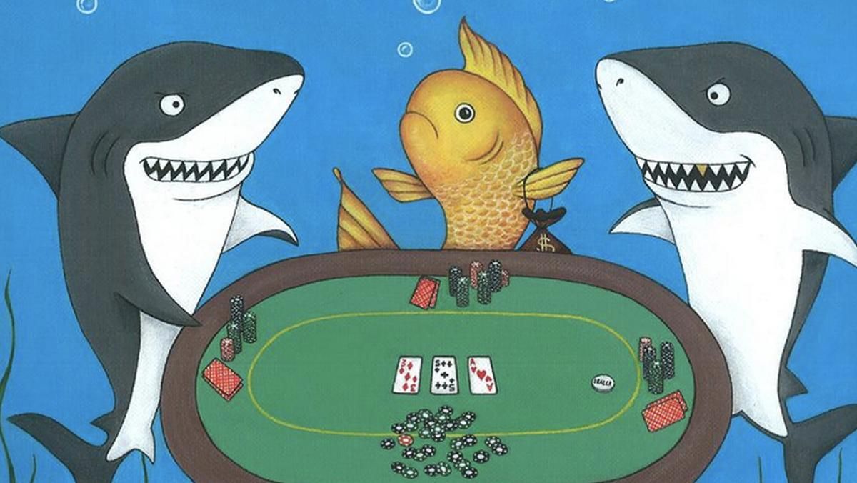 Школа покера: термин "рыба"