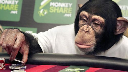 Профессионалы советуют, как не нужно играть в покер